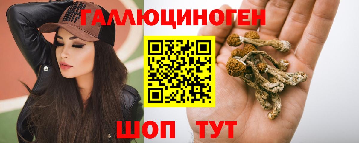 Псилоцибиновые грибы Psilocybe  Вход с VPN  Прохладный  Псилоцибиновые грибы мицелий 